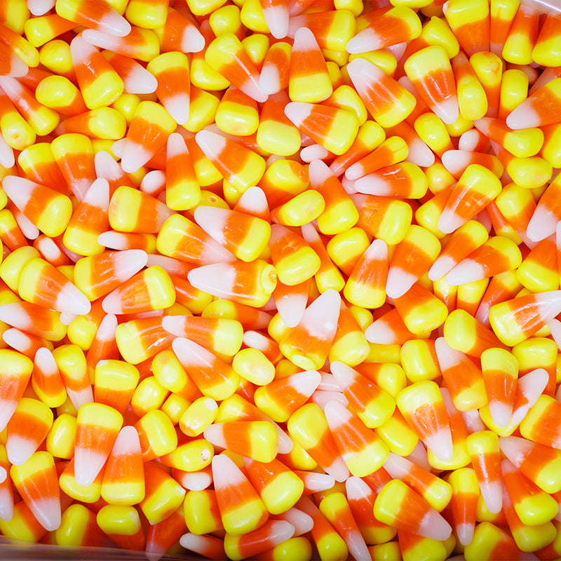 Jelly Belly Candy Corn - 10lbs-Candy Corn-Jelly Belly-Halloween candy-Bulk Candy