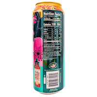 Arizona Spicy Green Tea - 22oz