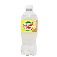 Canada Dry Vanilla Cream Ginger Ale - 591mL-Canada Dry-Canada dry ginger ale-Ginger Ale-vanilla cream soda