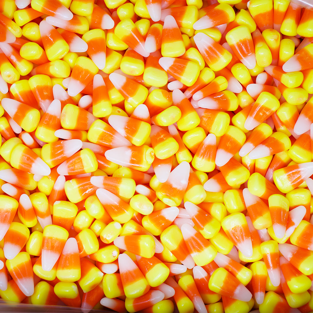 Jelly Belly Candy Corn - 10lbs-Candy Corn-Jelly Belly-Halloween candy-Bulk Candy 