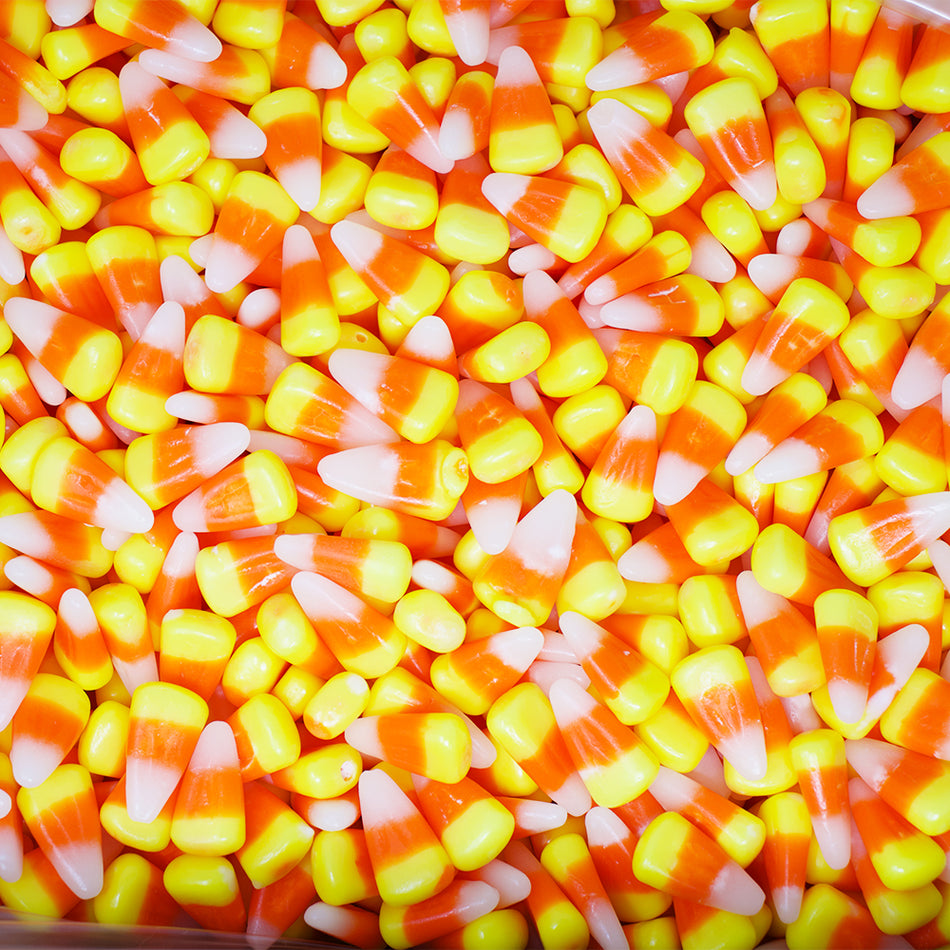 Jelly Belly Candy Corn - 10lbs-Candy Corn-Jelly Belly-Halloween candy-Bulk Candy 