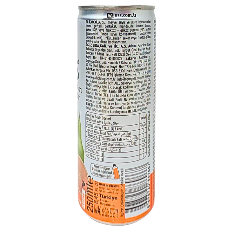 Juss Mixed Fruit Drink (Turkey) - 330mL